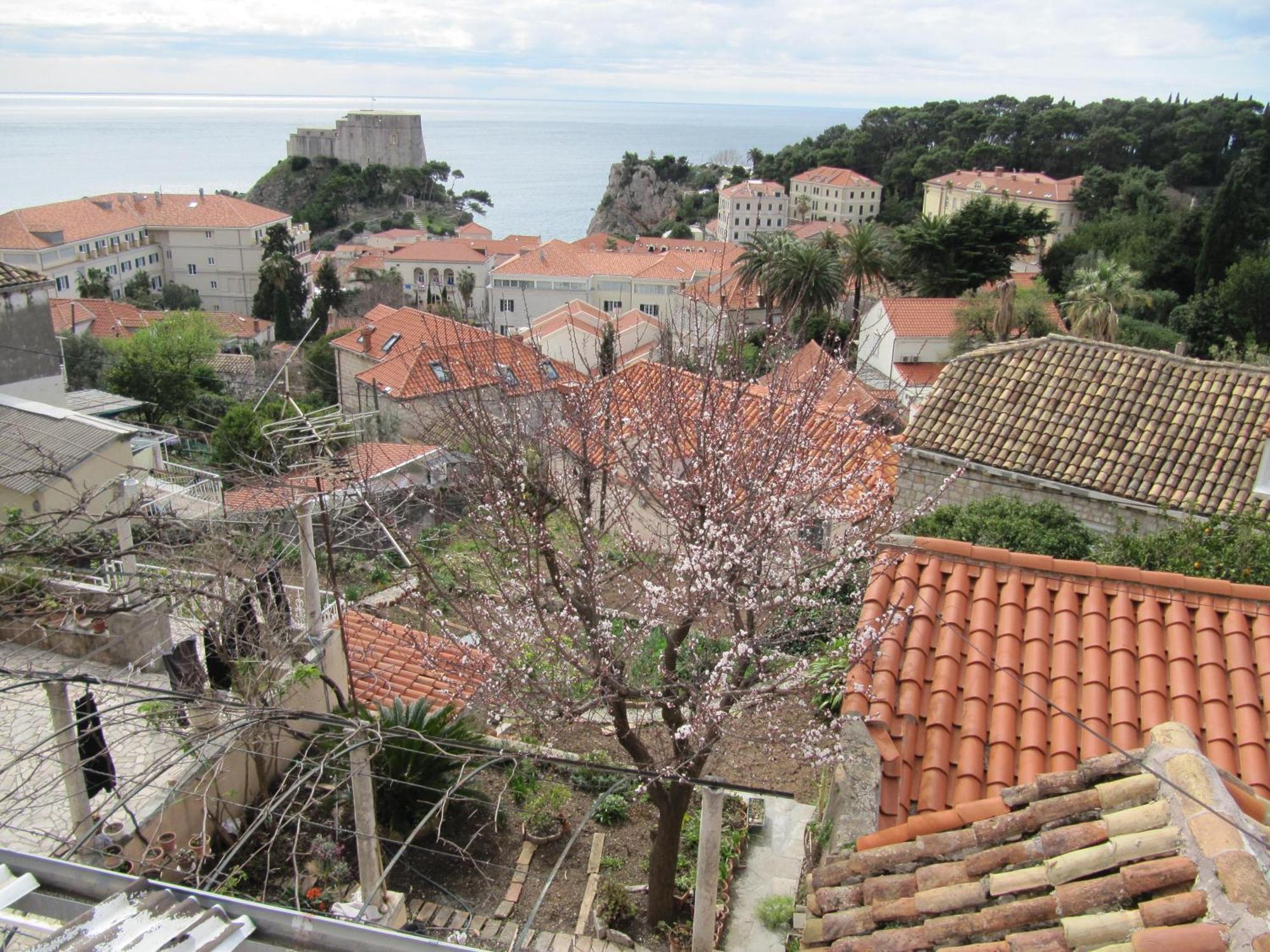 Appartamento & Saint John *
