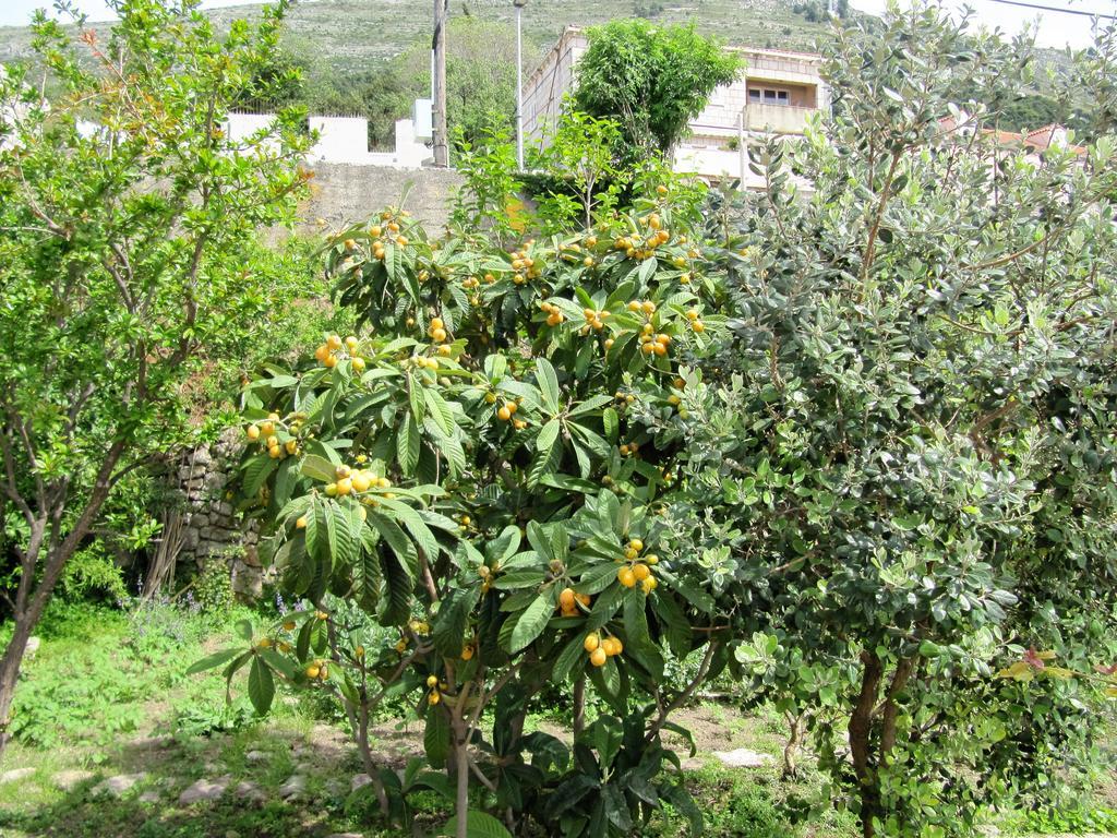 & Saint John Appartamento